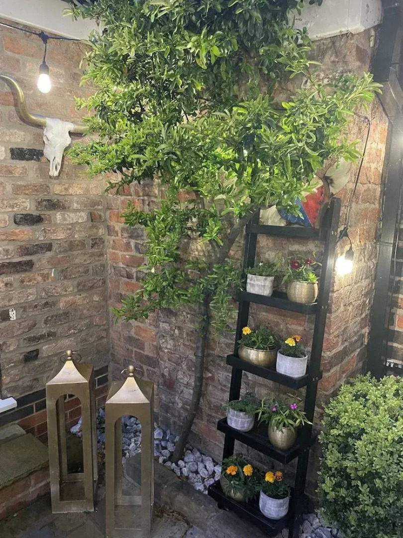 The Bishop And The Bison