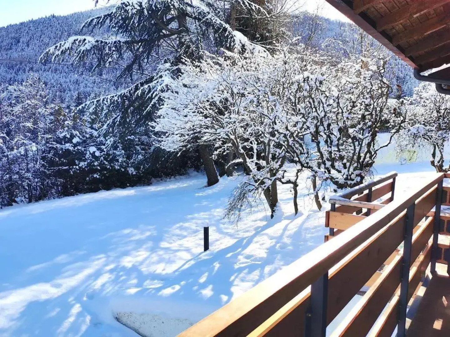 Chalet Bornhome CIR O17022