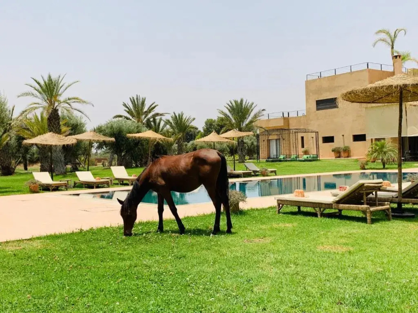 Marrakech Retreat By La Siredrah