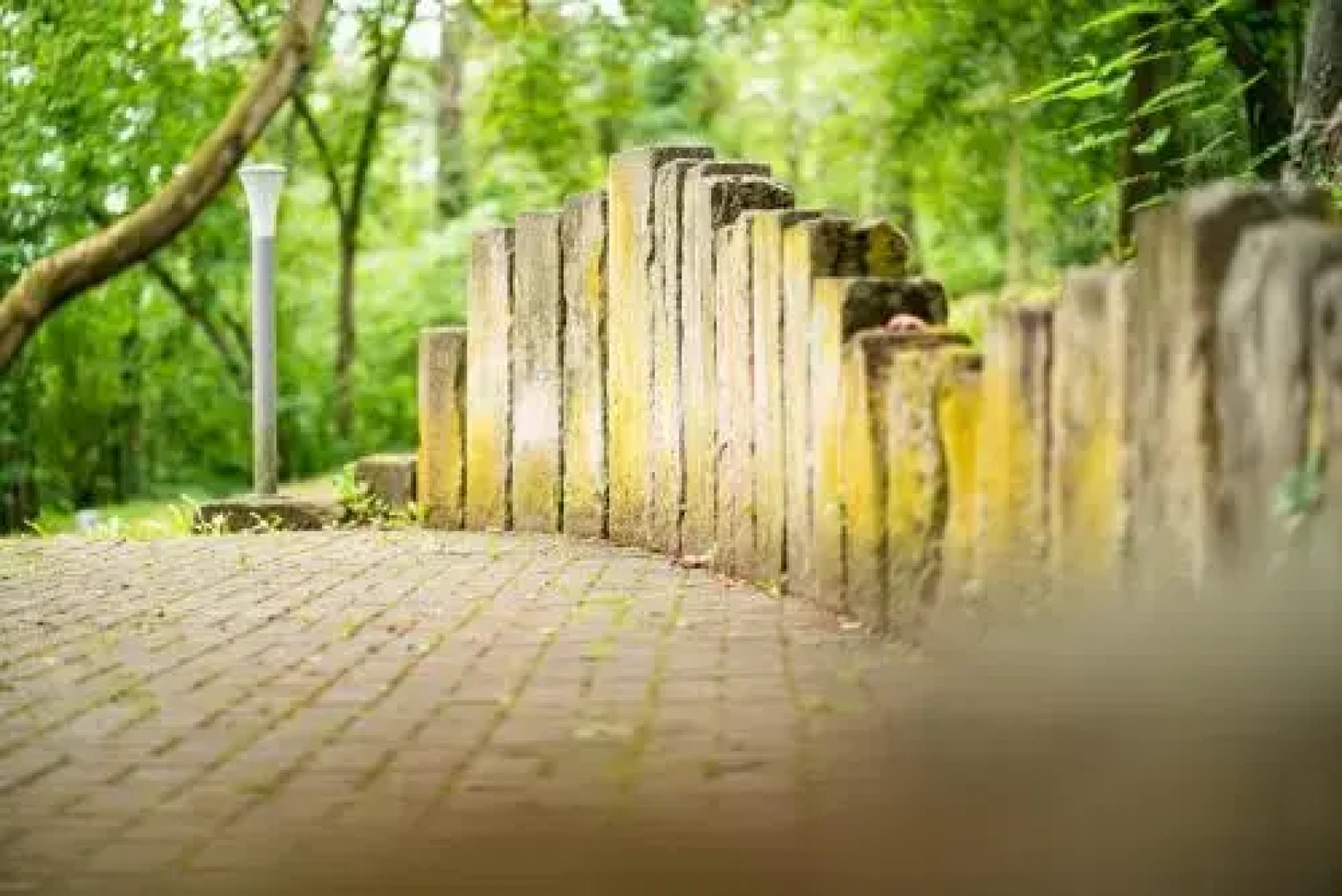 Gastehaus Am Luisenpark