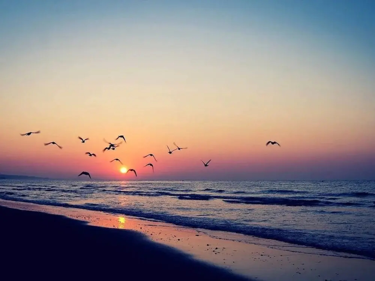 Villa Verde La Rochelle