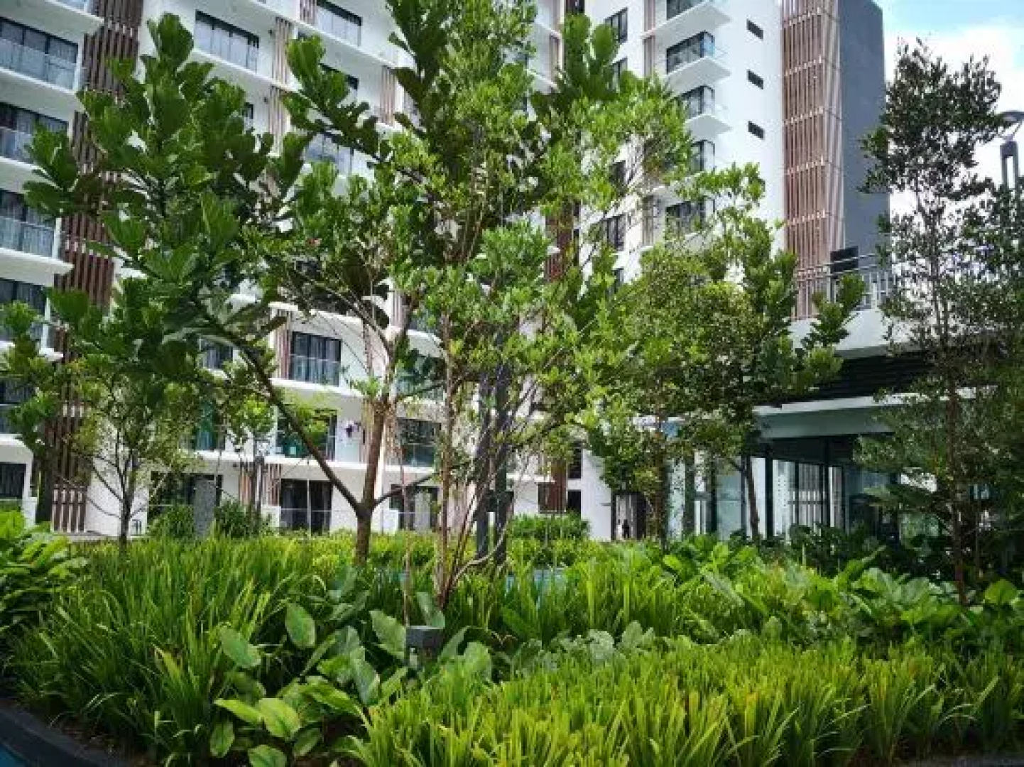Family Suite Midhills Genting Highlands Free Wi-Fi