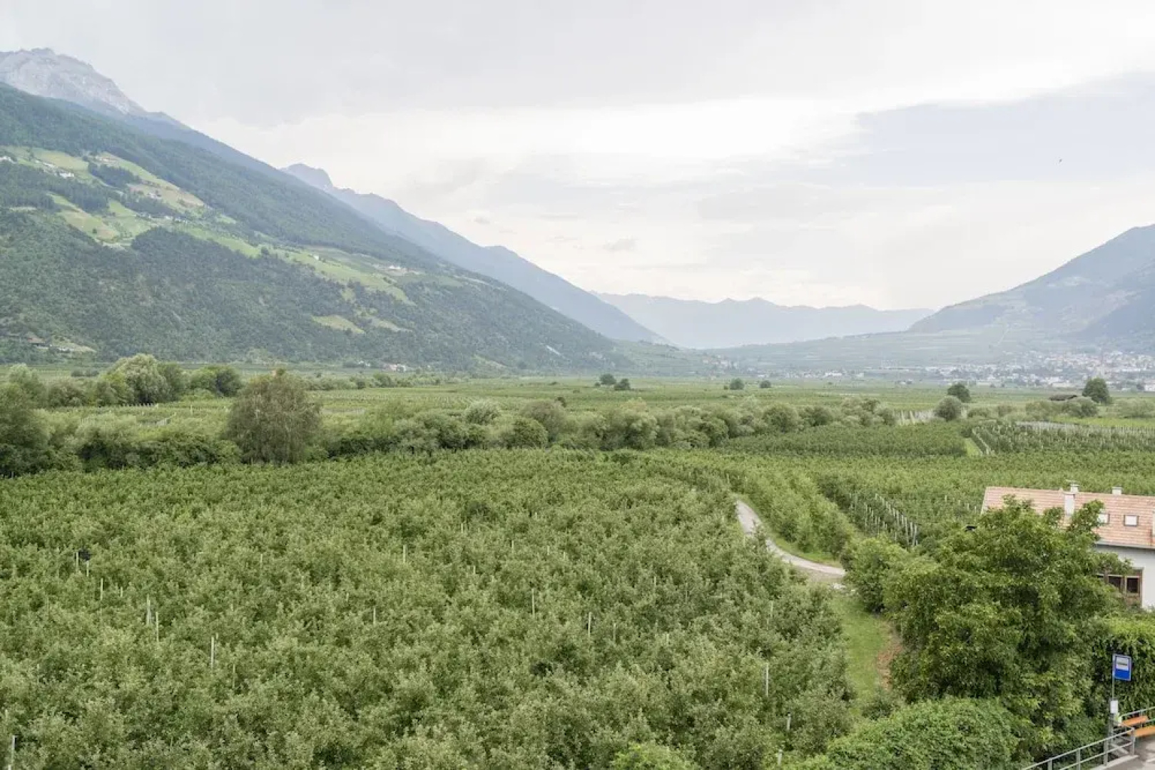 Wander- und Bikehotel Vinschgerhof