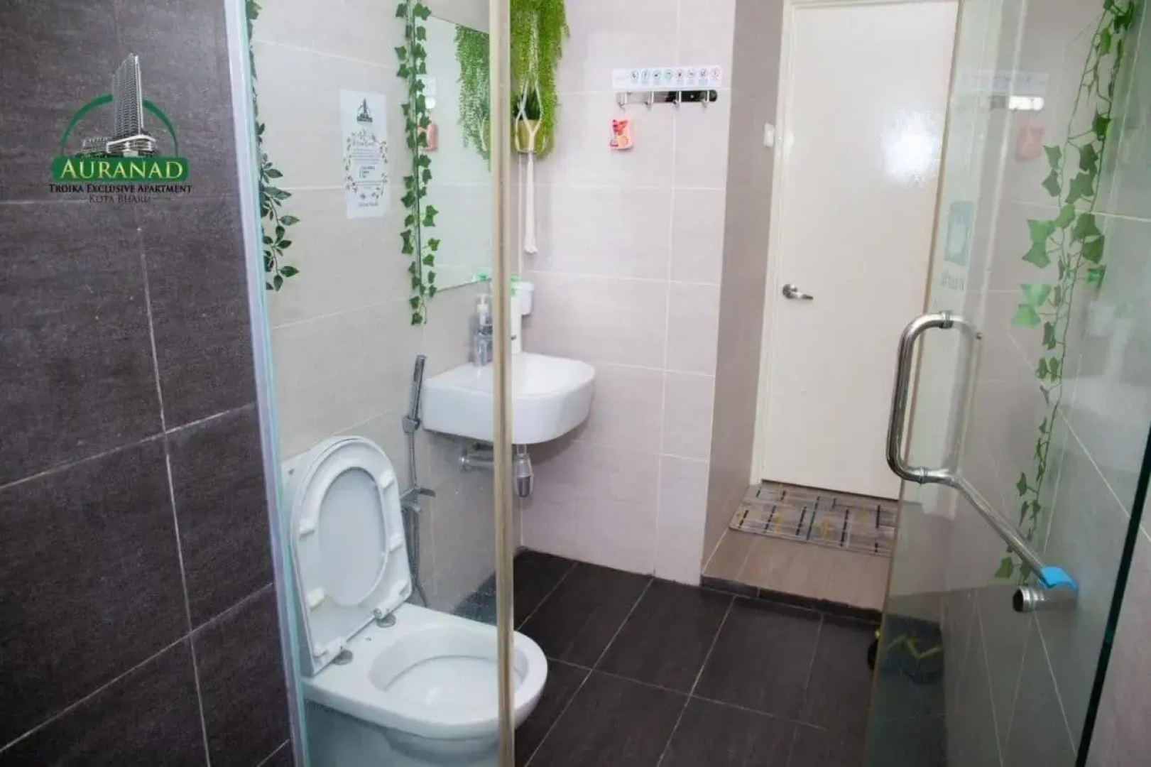 Auranad Troika Level 33