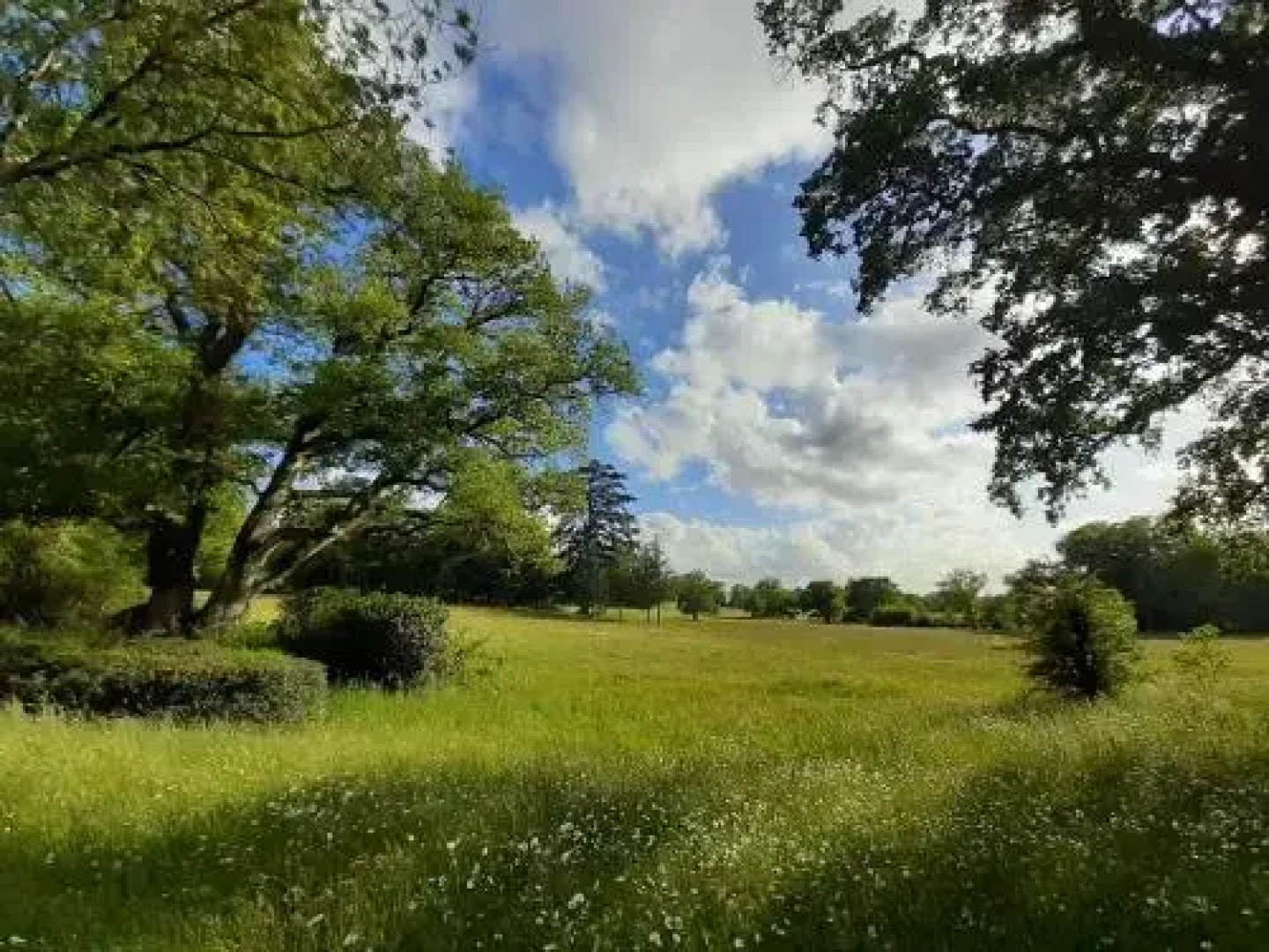 Proche Puy du Fou - Roches Blanches