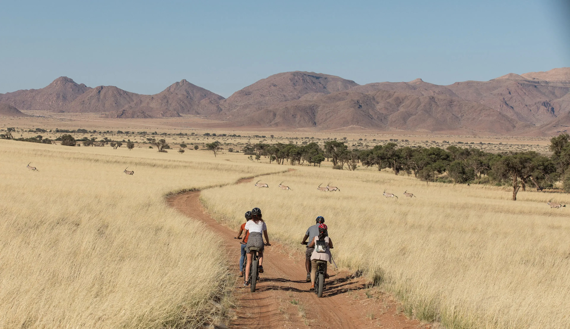 Namib Desert Lodge