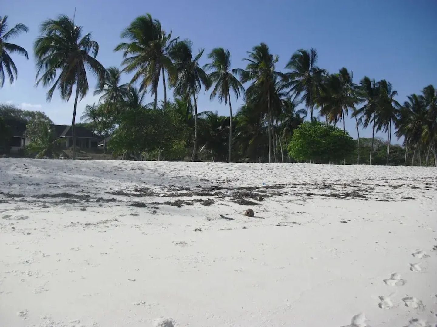 Bat Housing Co-Operative Society