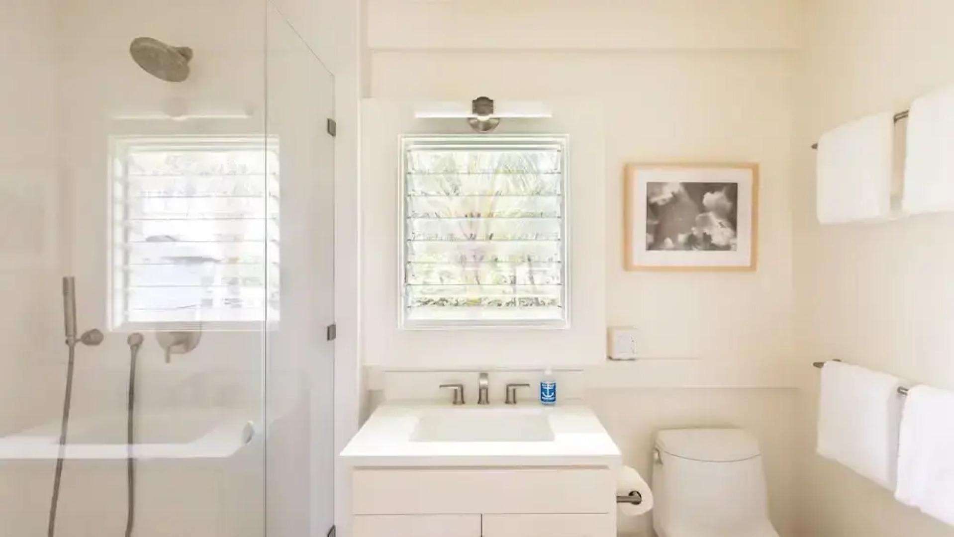 Hale Kalani - 2 Br Home