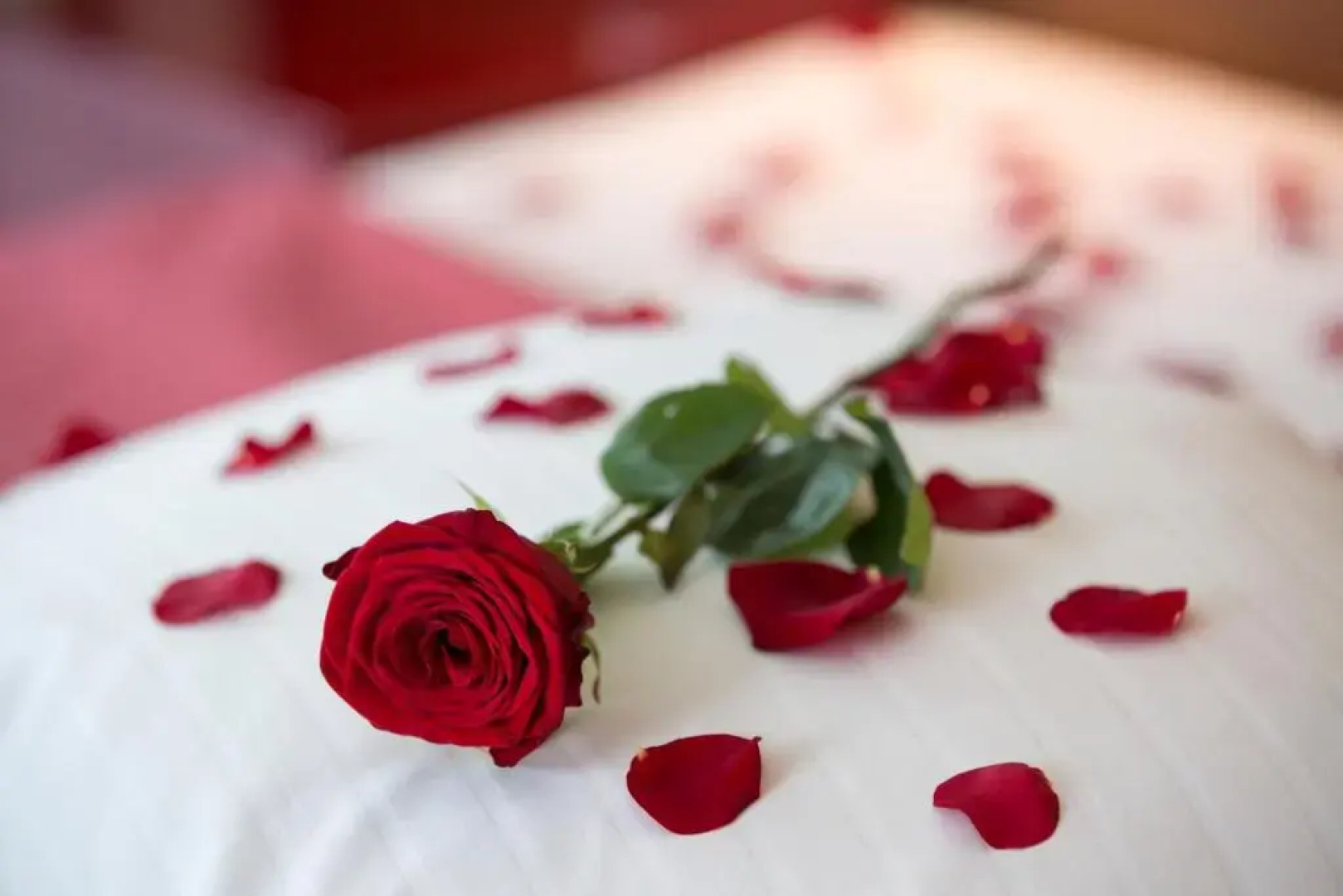 Отель Asia Hotel & Spa Leoben