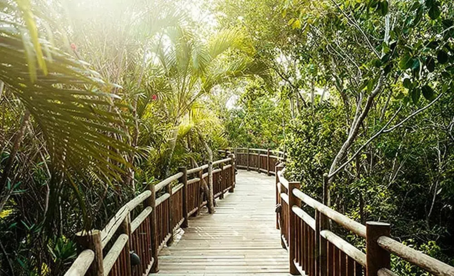 Grand Maya by Dicasi RM