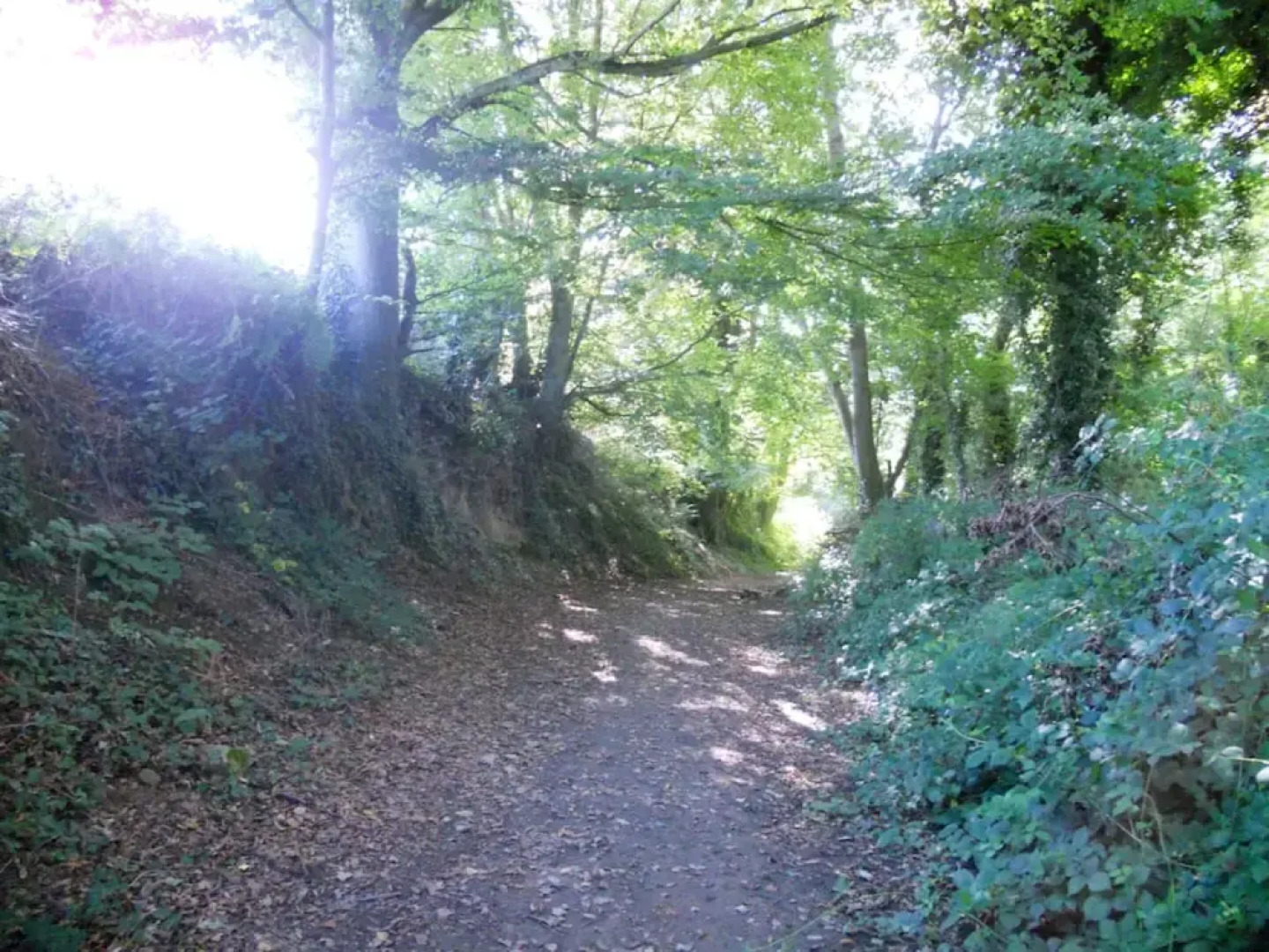 House With one Bedroom in Lannion, With Enclosed Garden and Wifi - 3 k