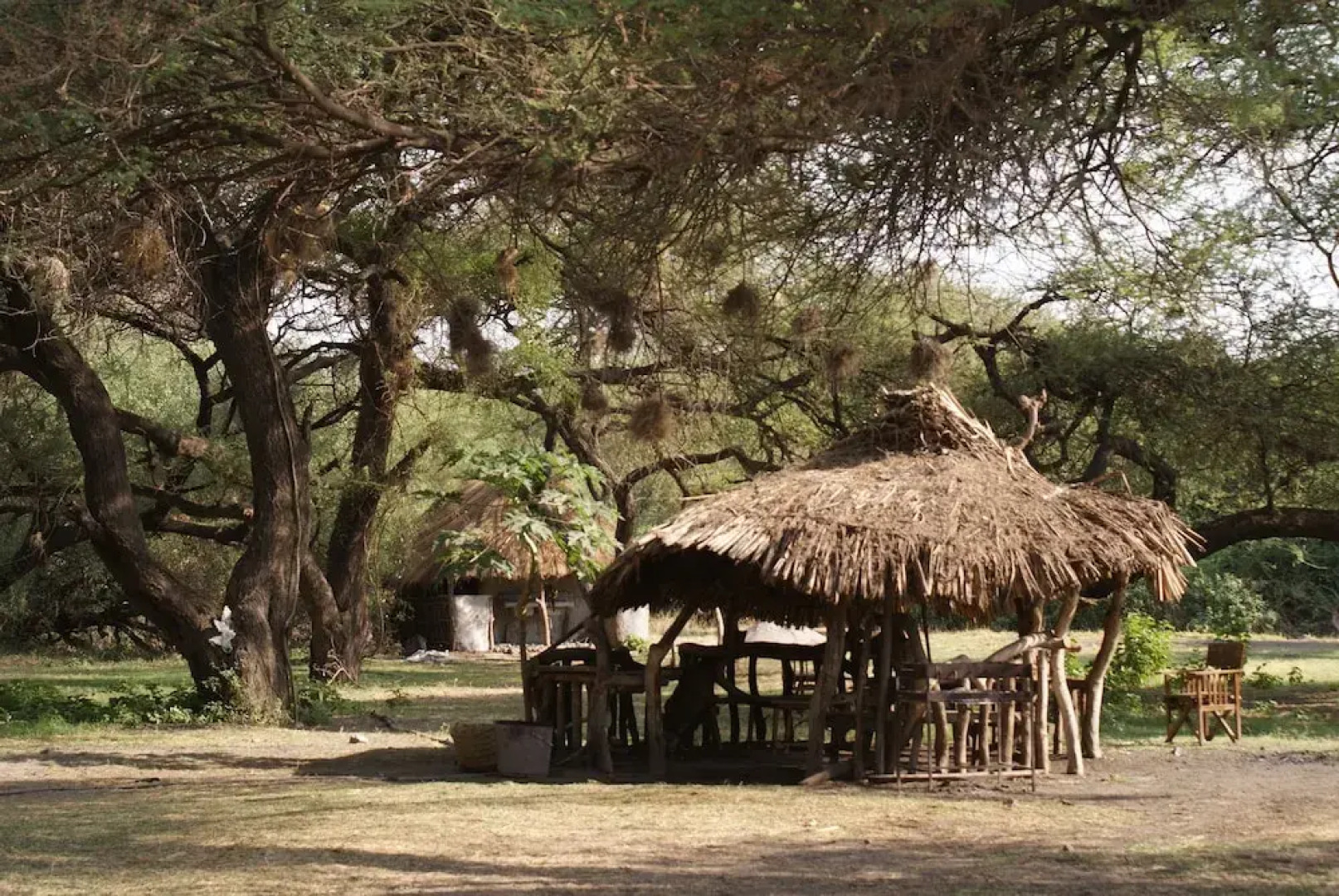 Lake Natron Tented Camp