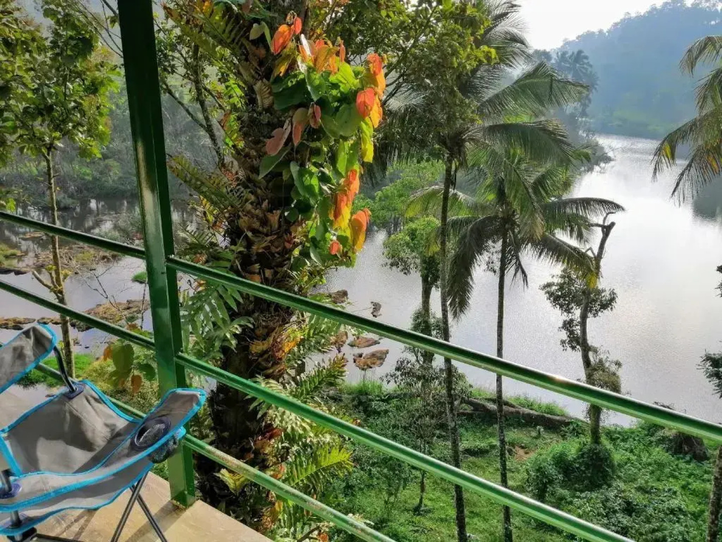 Noah's Nest Tree House