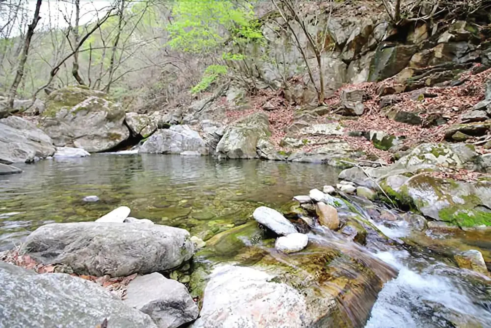 Yangpyeong Plus Pension