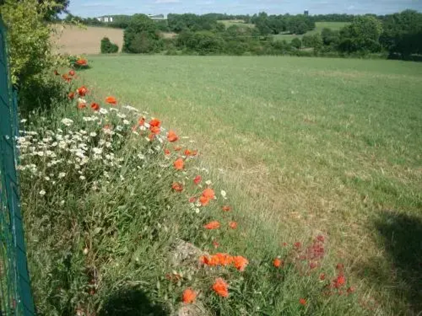 M. Clemenceau - Les Maisonnettes de la Maneliére