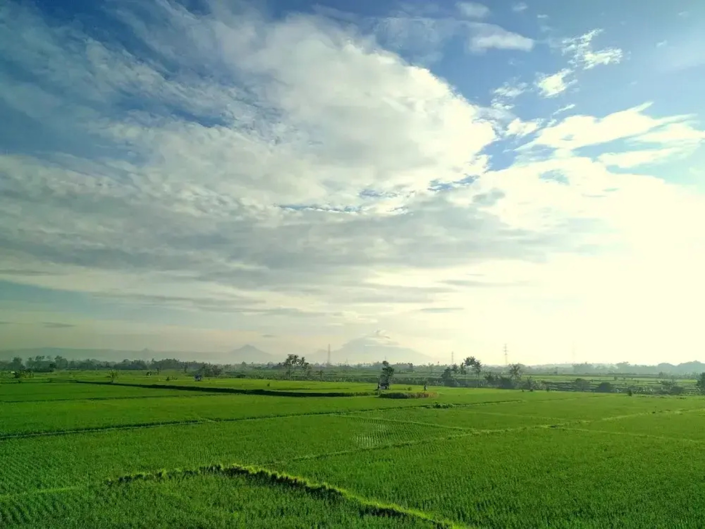 Dhyanapura City Hotel