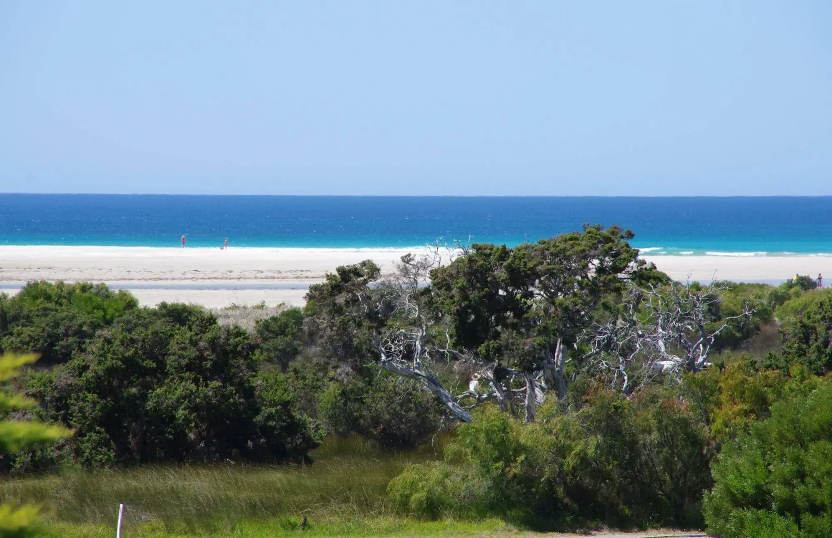 Surfside Ocean Beach