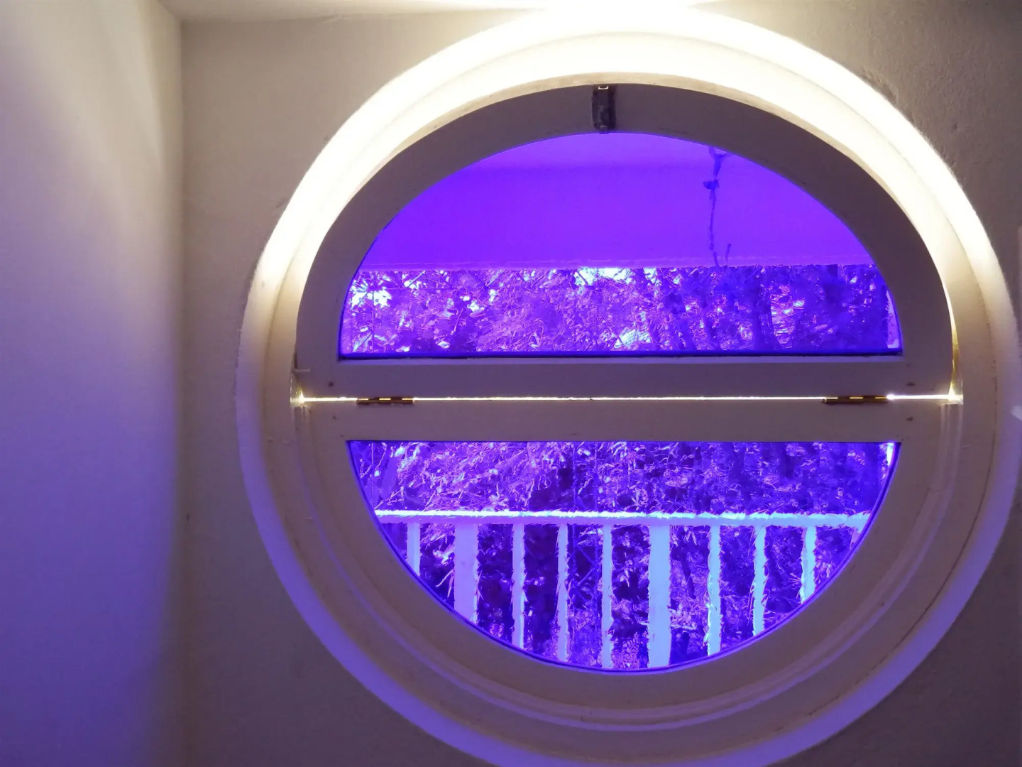 Hotel Mocking Bird Hill