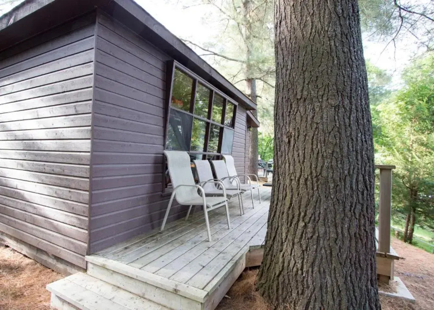 The Pines Cottage Resort