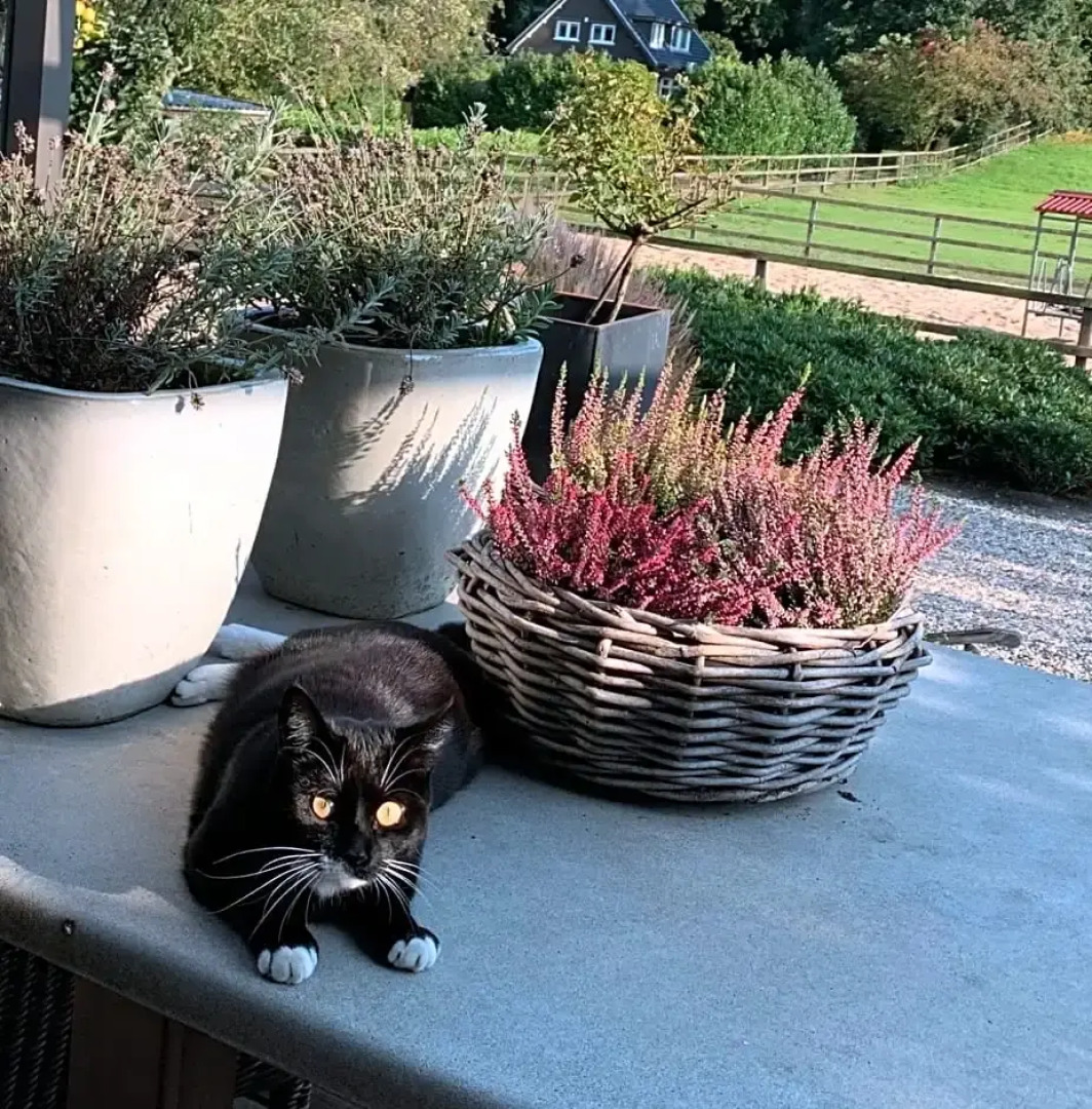 Bed And Breakfast De Paalberg