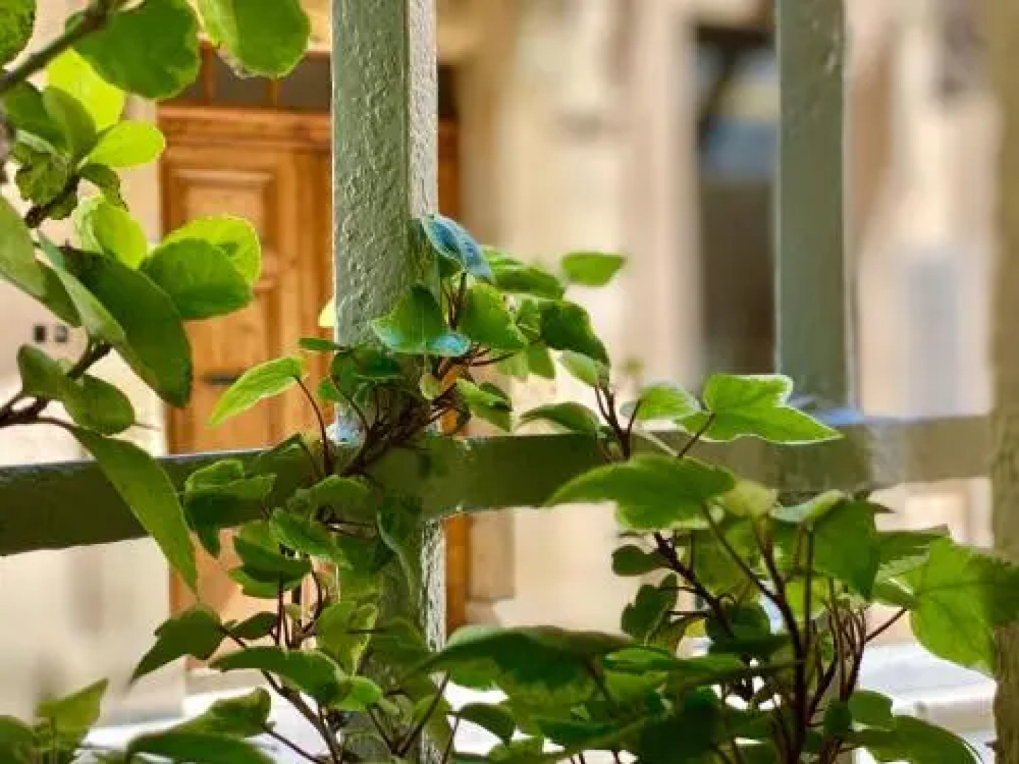 Èrsextius, Aix-en-Provence