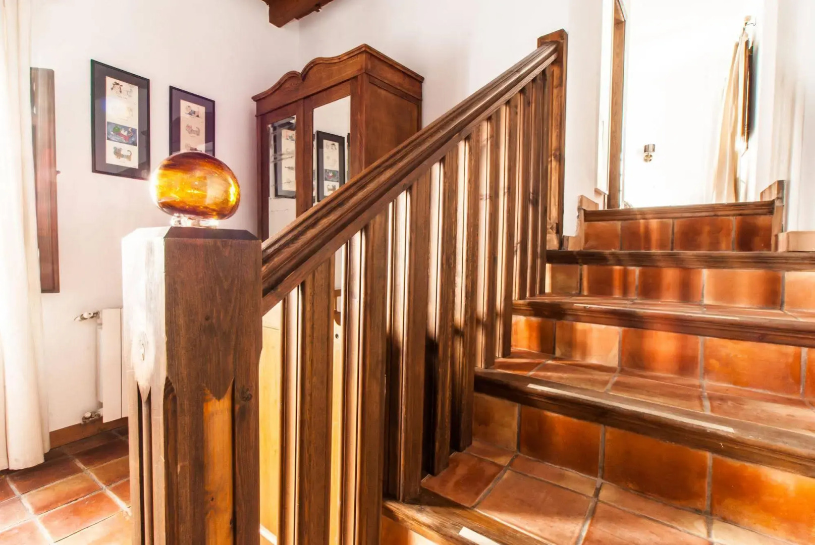 El Secreto del Olivo