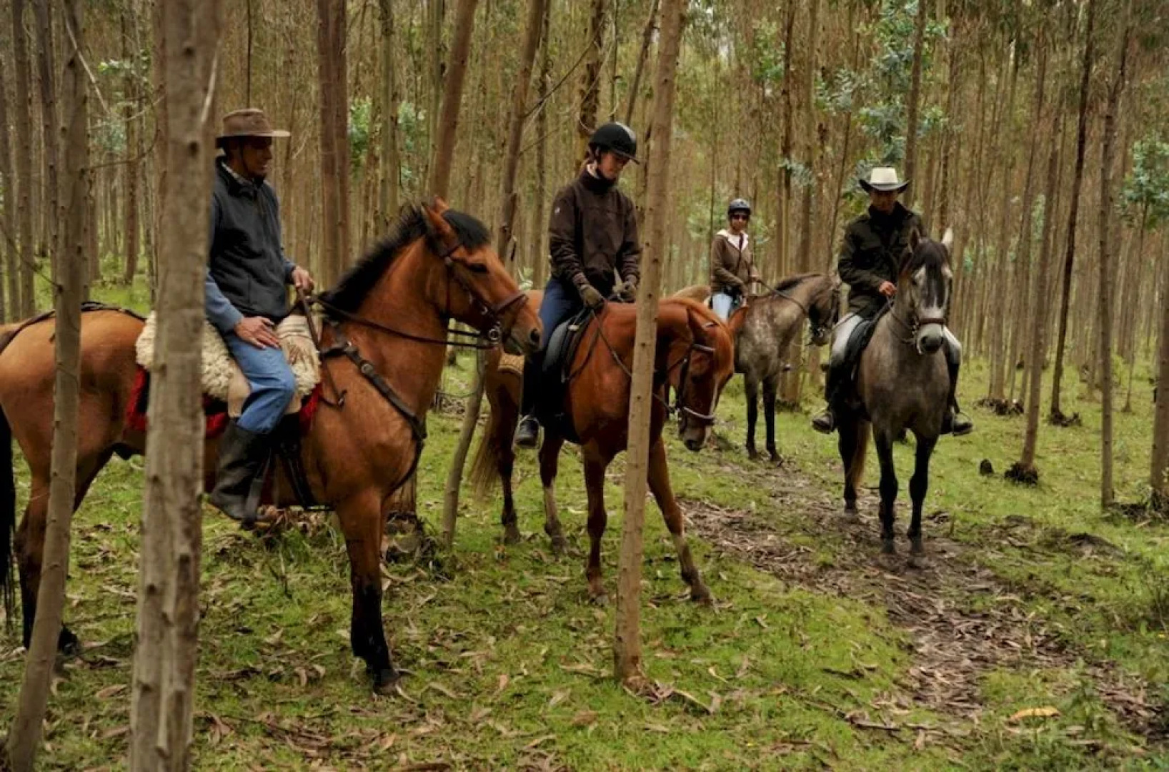 My SachaJi Wellness Ecolodge