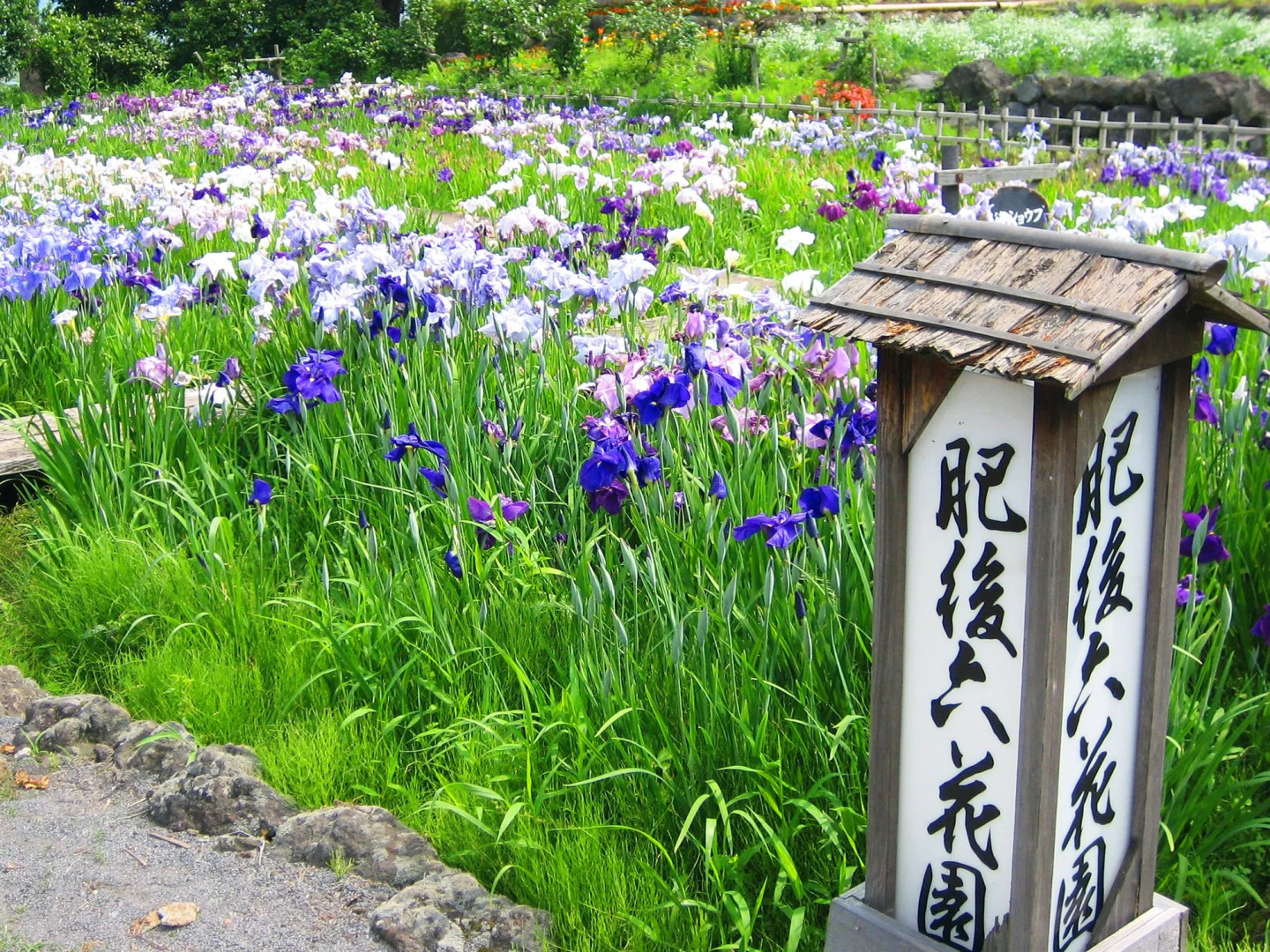 Kamenoi Hotel Aso Park Resort