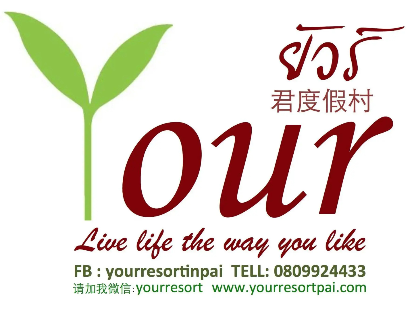 Your Resort