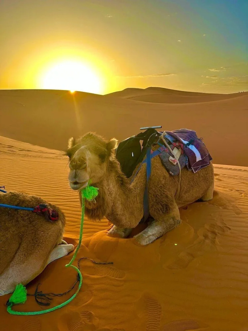 Maison Adrar Merzouga