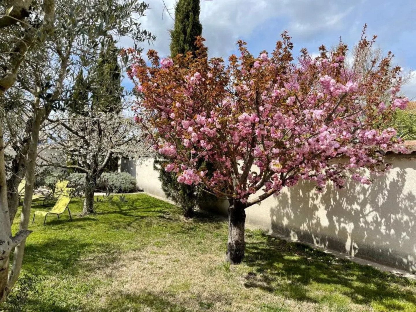 Studio Les Petits Lutins