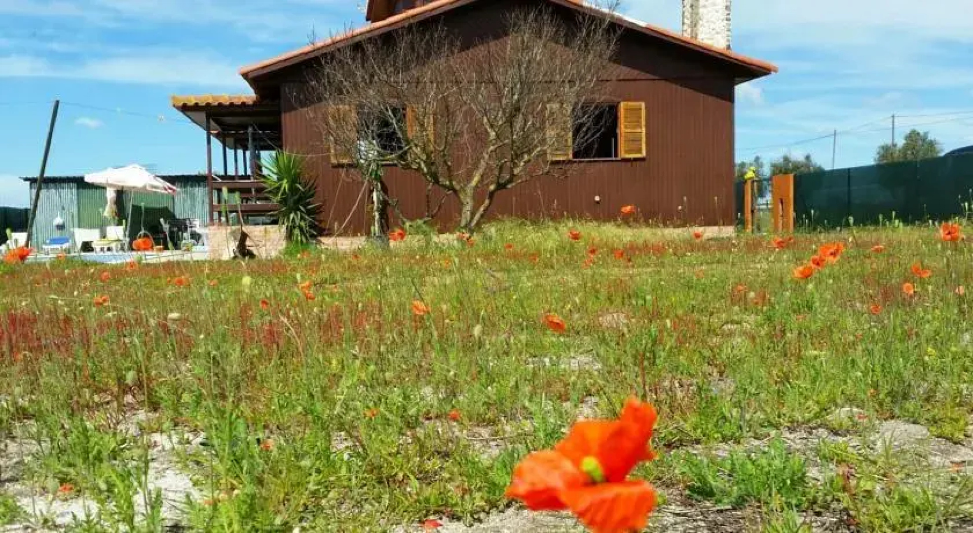 Wood house with swiming pool near Lisbon best beaches