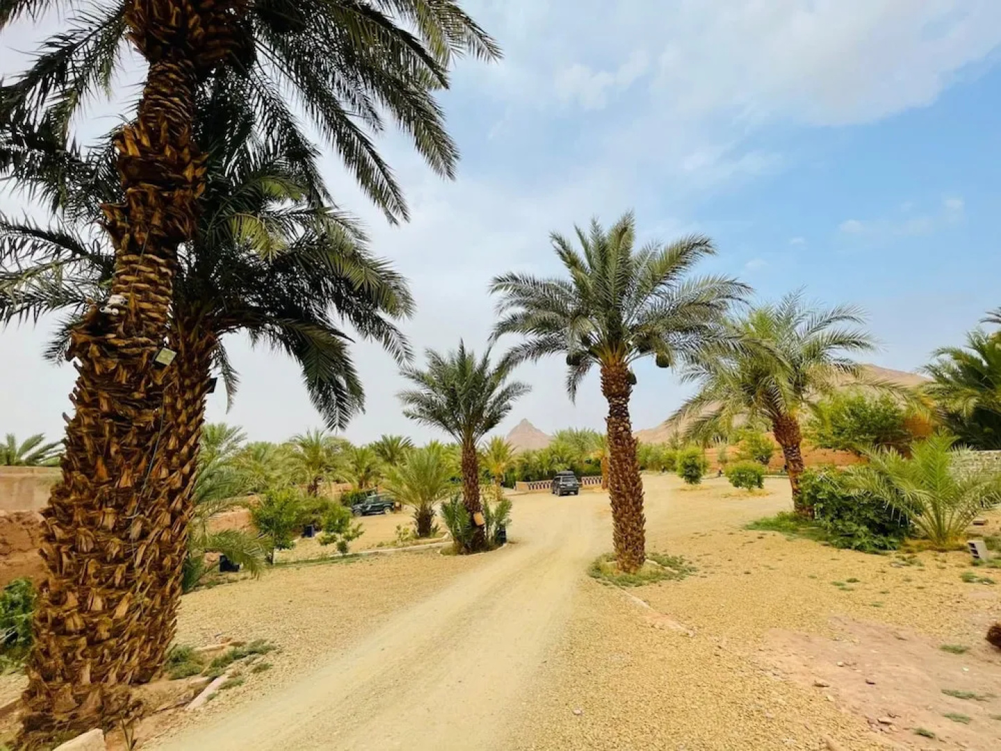 Paradis Touareg