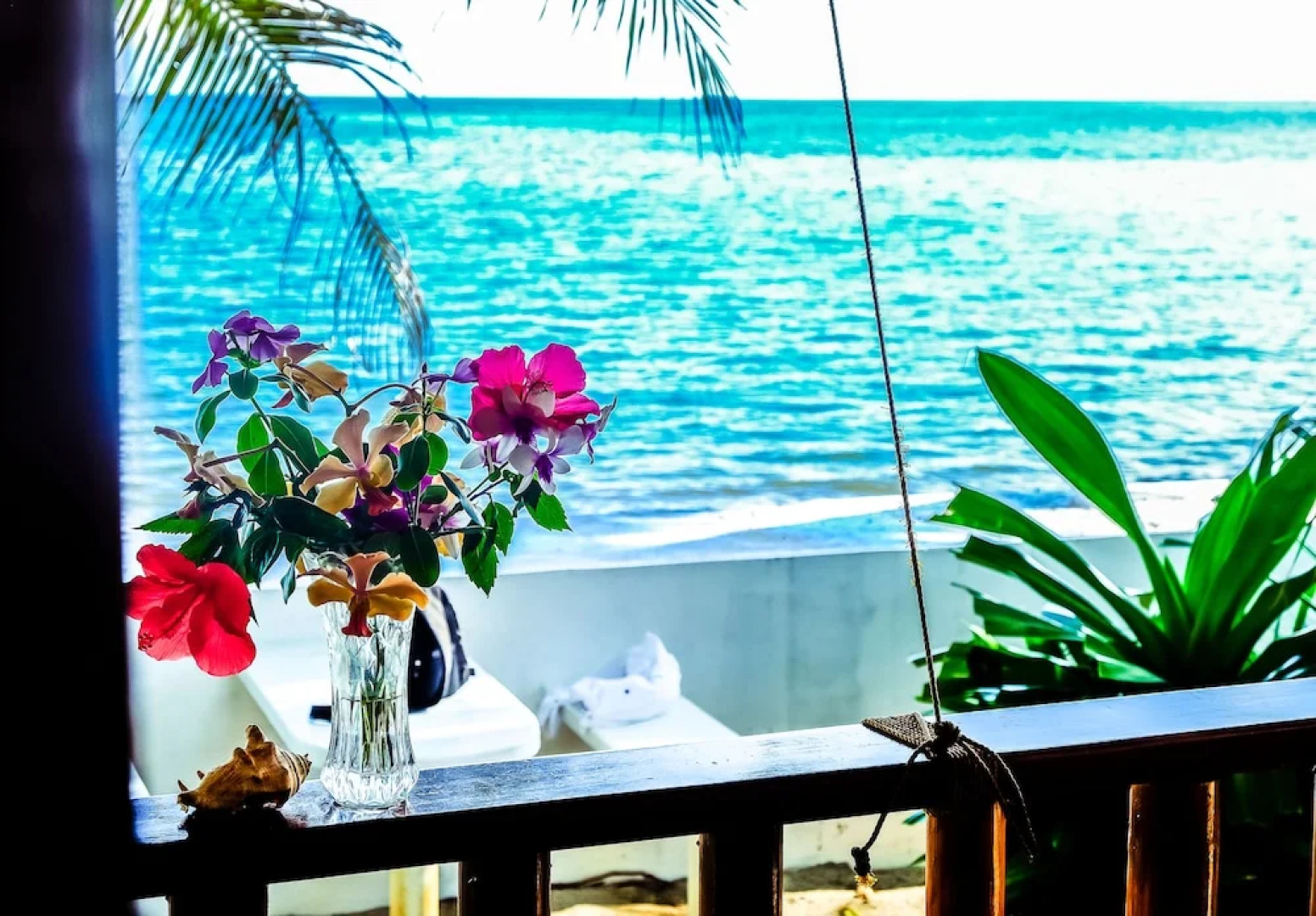 Southern Leyte Divers