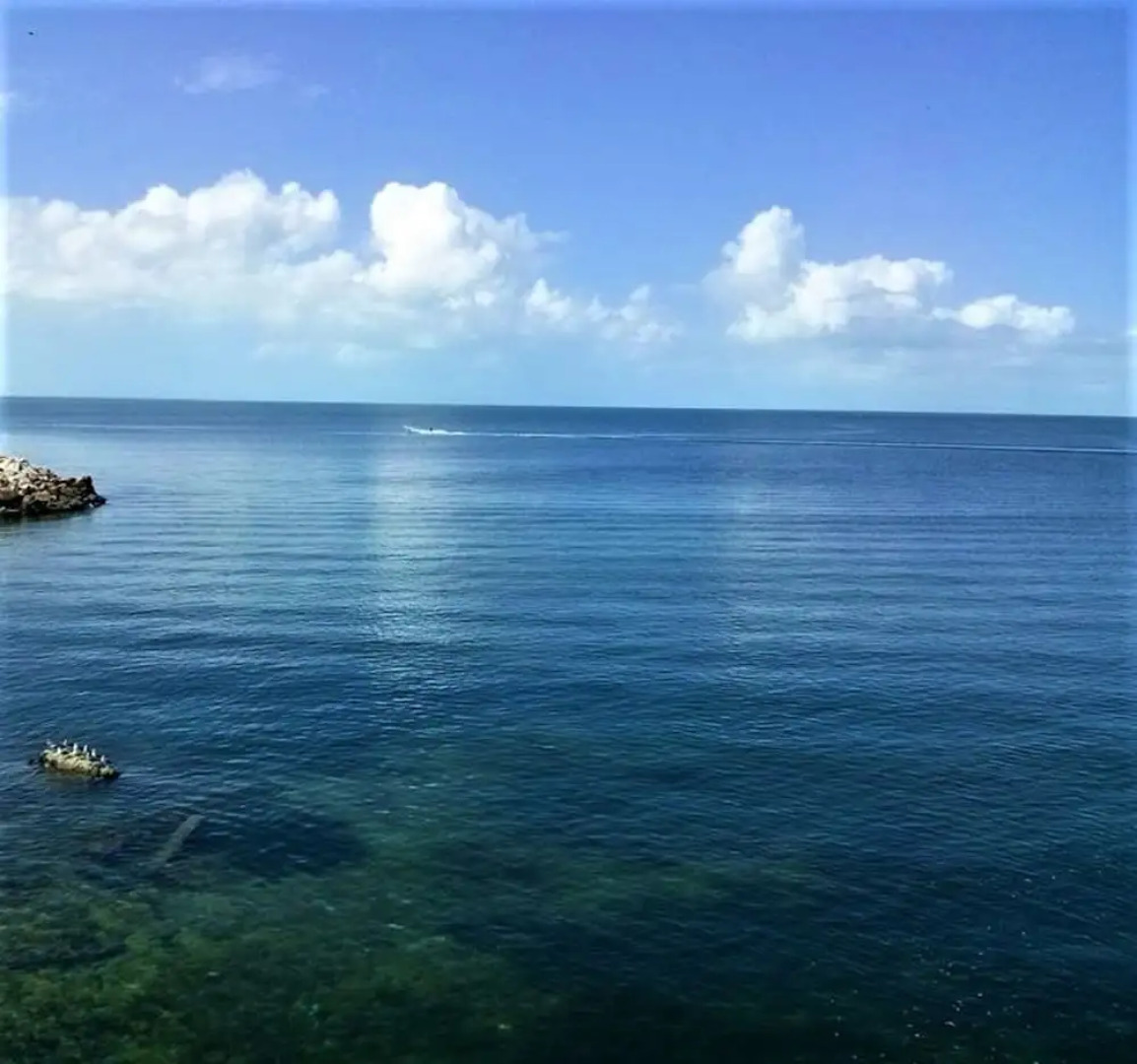 Kaeli's Caribbean Studios