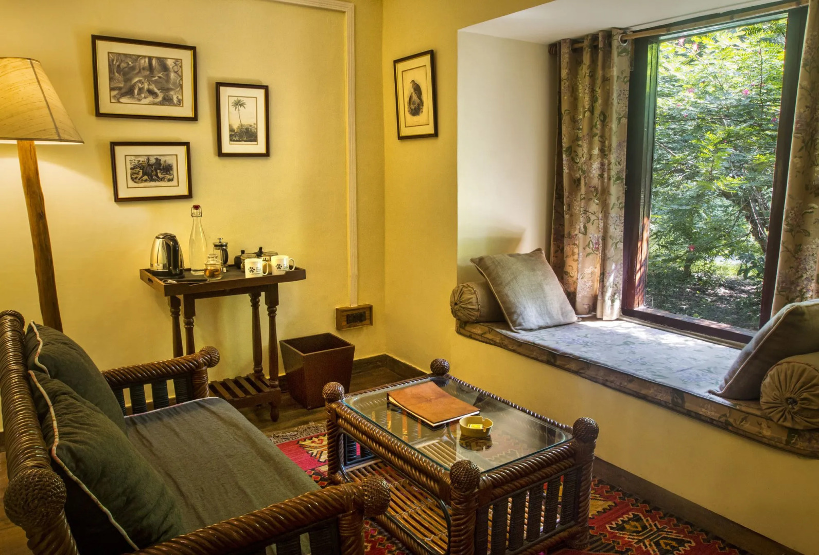 Jim's Jungle Retreat