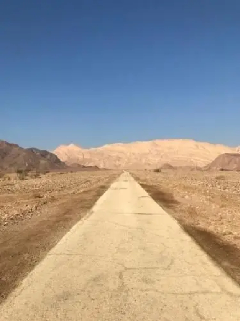 Tamar Ba'Midbar