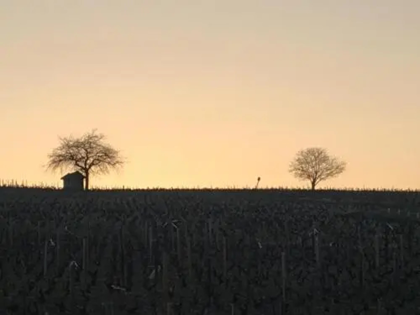 La Roulotte du Granit Doré