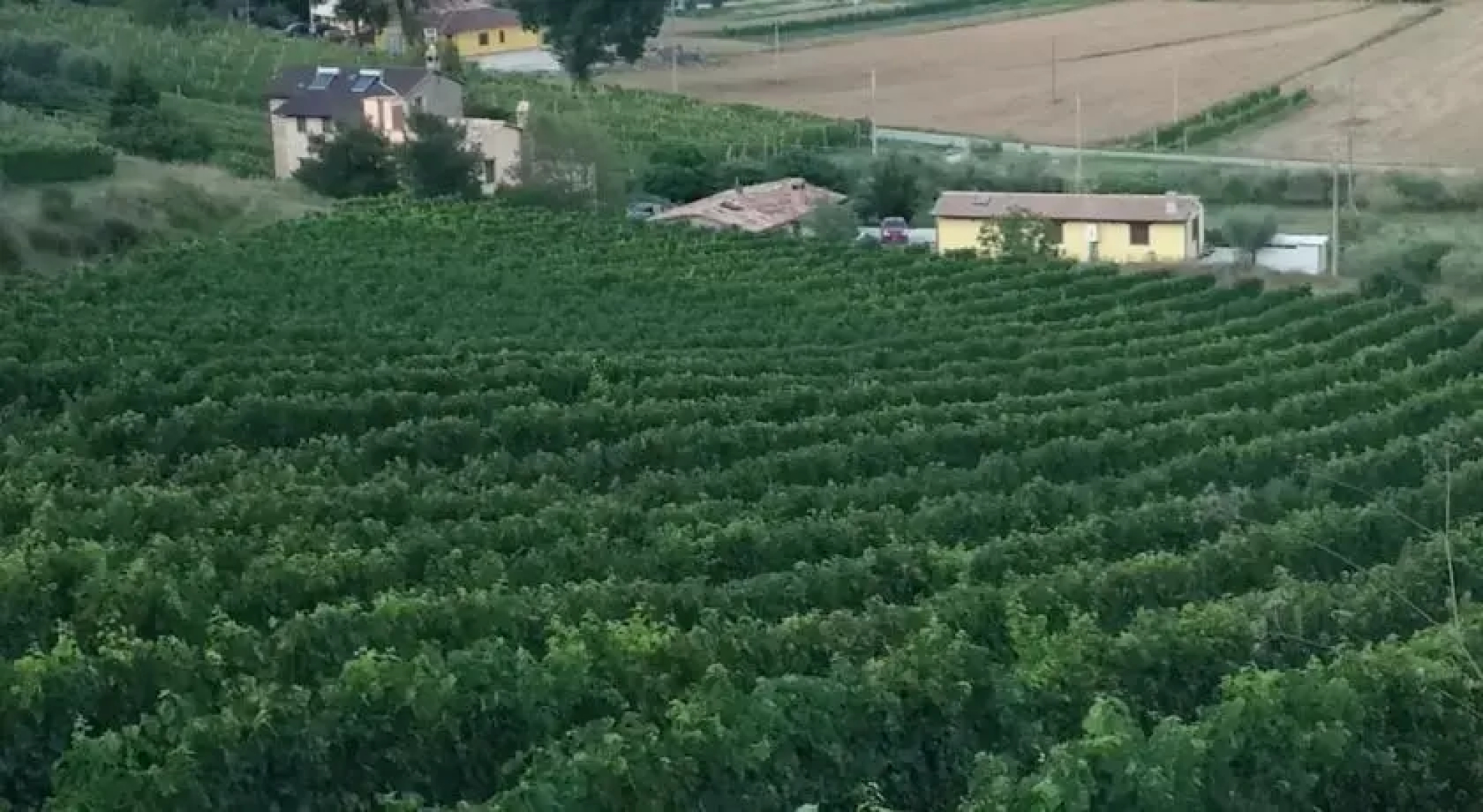 B&B Il Casale Tra I Vigneti