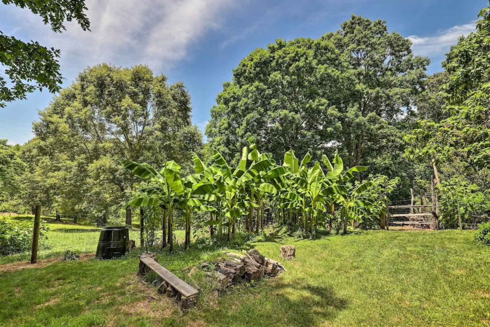 BBQ Deck + Views: 'sweet Suite' in Leicester