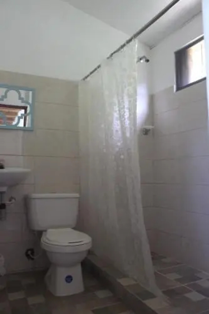 Jaguar Azul Palomino