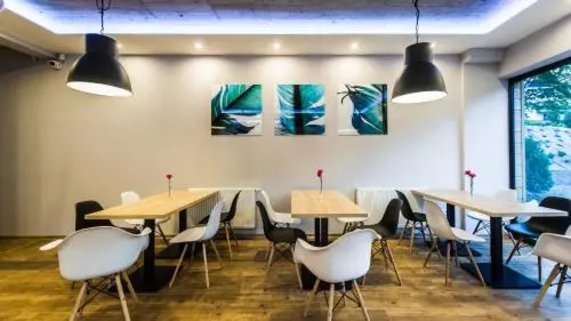 Apartamenty Eskapada