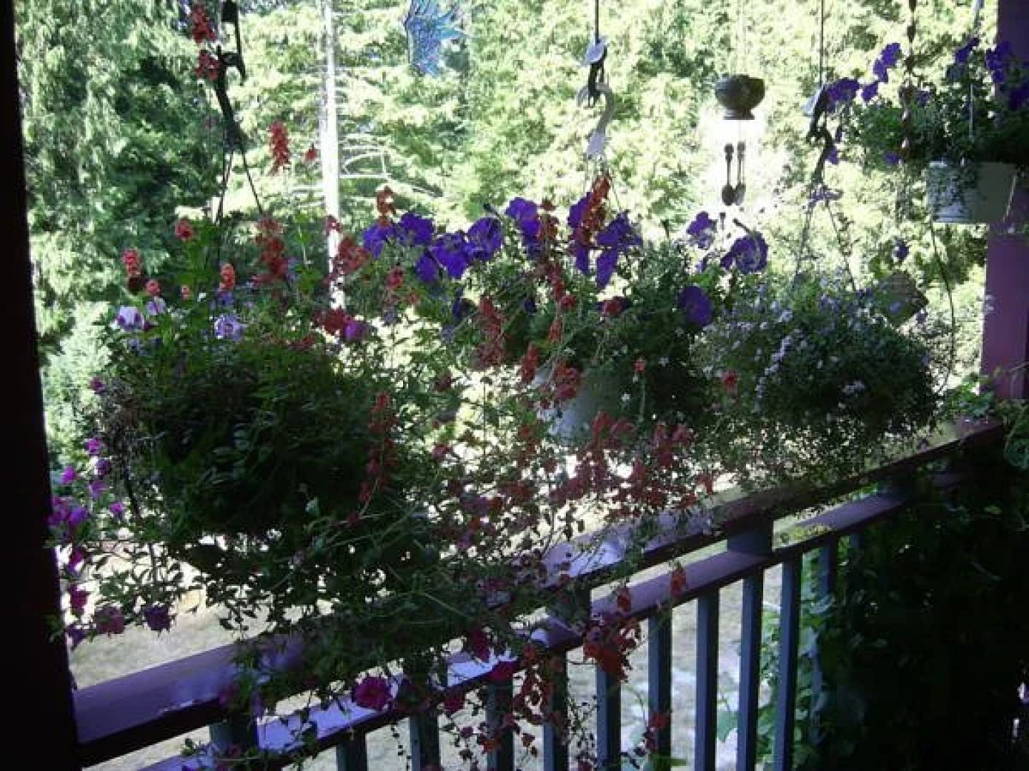 The Artist and The Quiltmaker - Victorian Bed and Breakfast