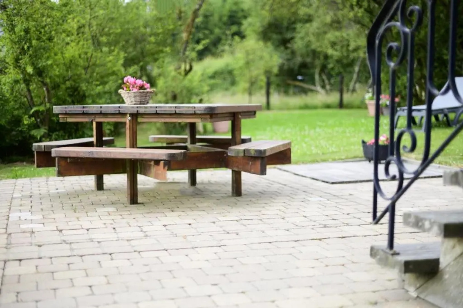 Les Terriers Saint-Hubert