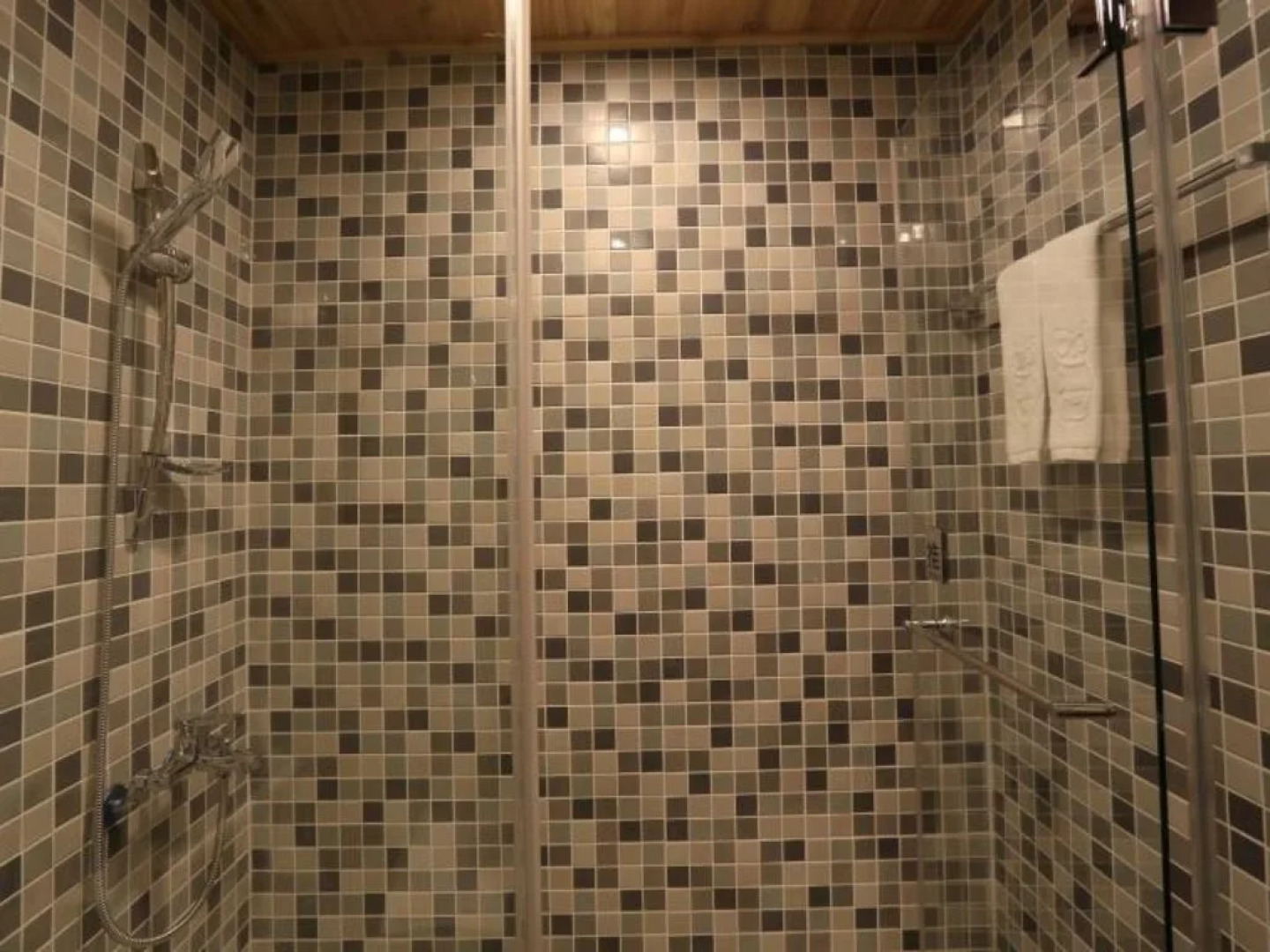 Classic Hotel Shvatan