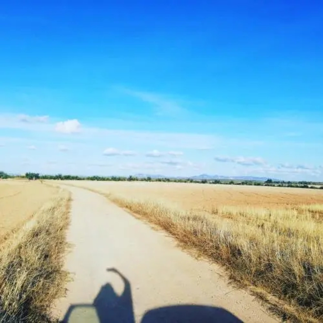 Albergue Turistico La Almazara