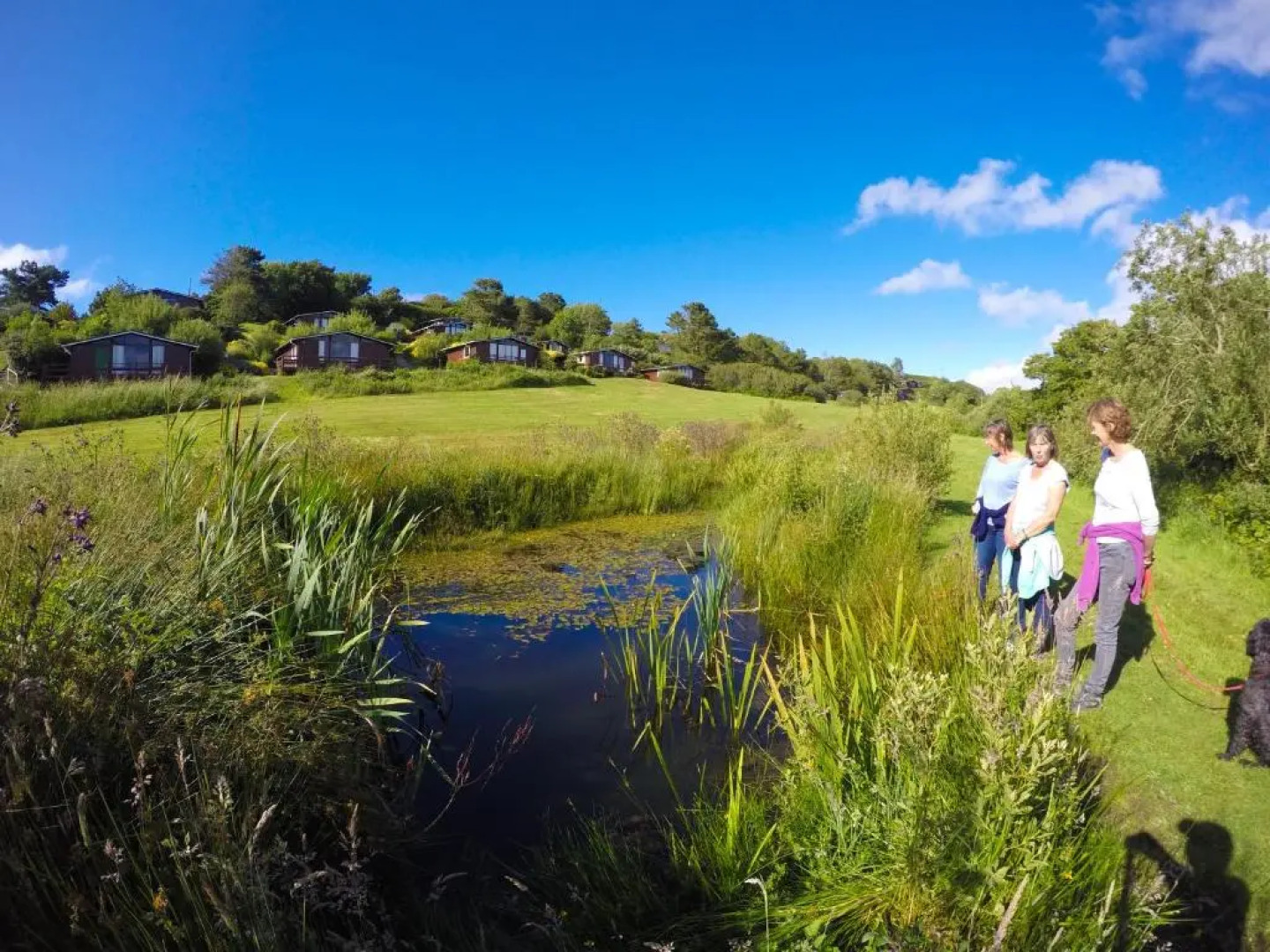 Timber Hill Self Catering Cedar Lodges