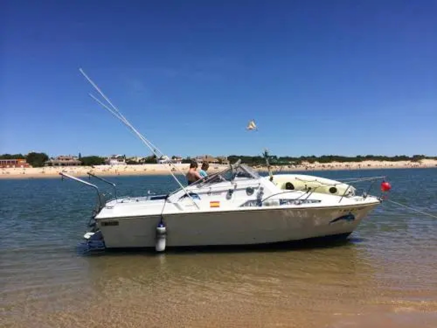 Espectacular Atico Frente Al Mar