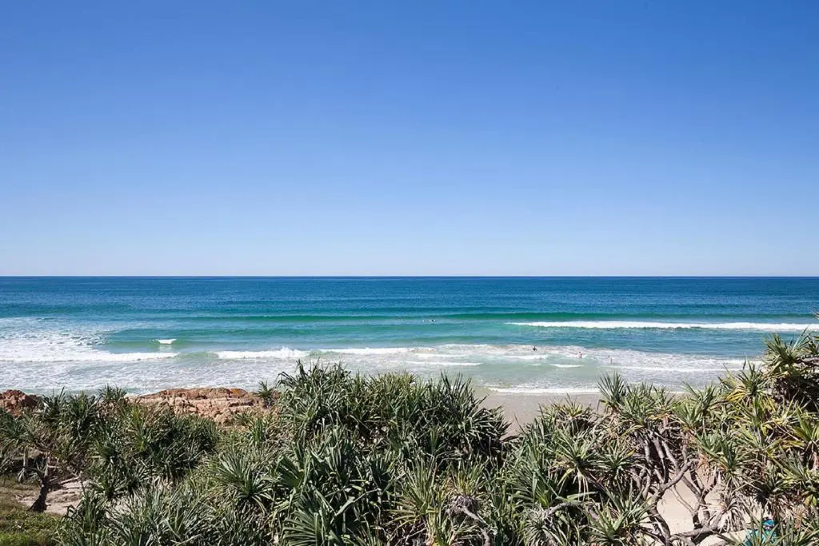Papillon Coolum