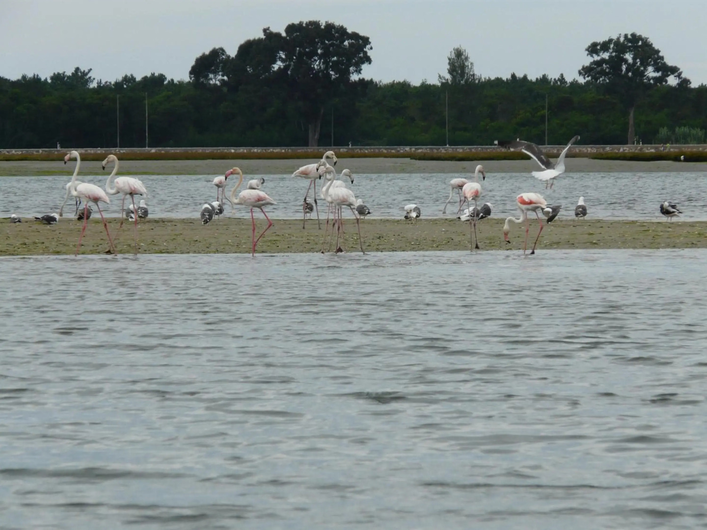 Verde Ria apartamento